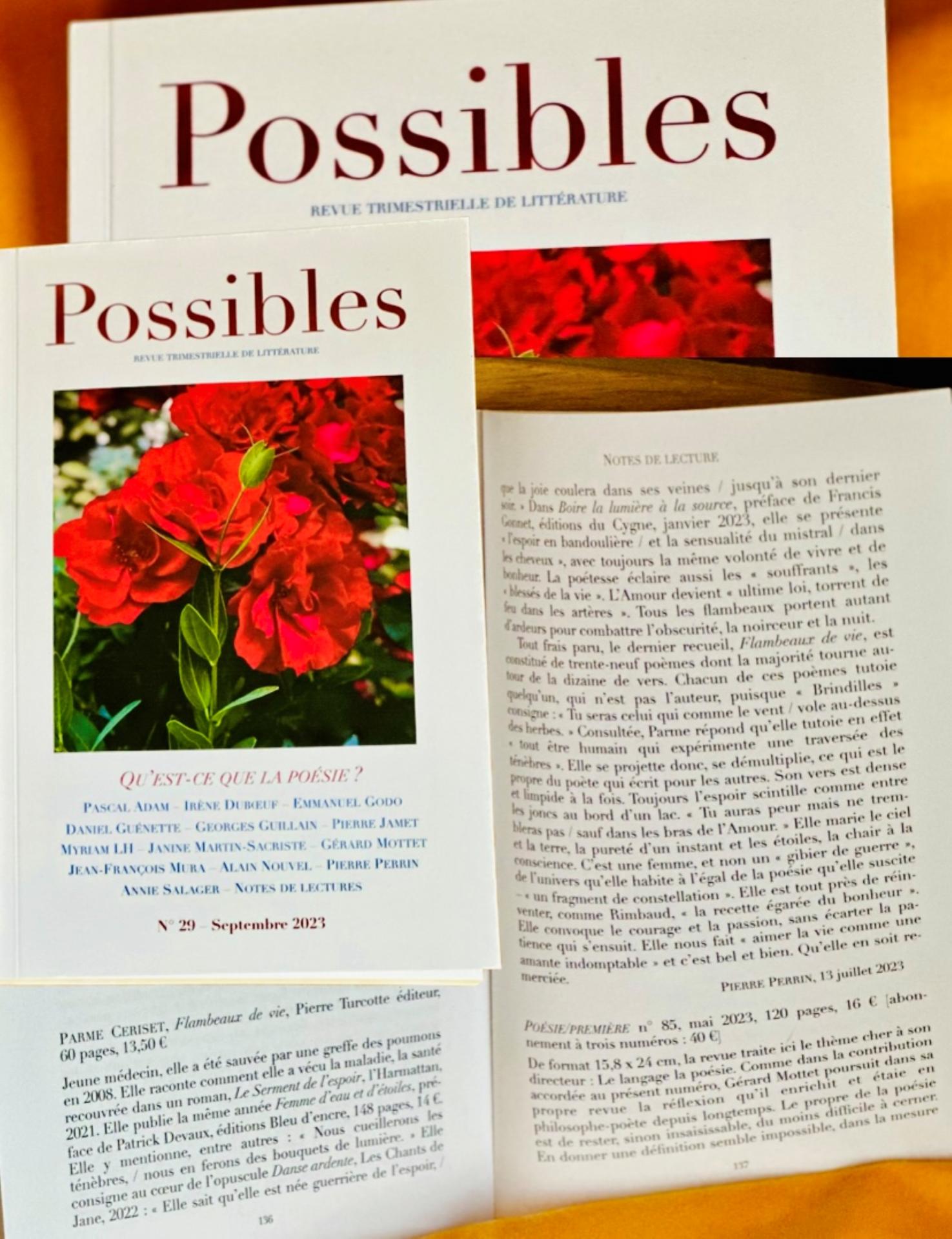 Revue possibles la poesie de parme ceriset par pierre perrin